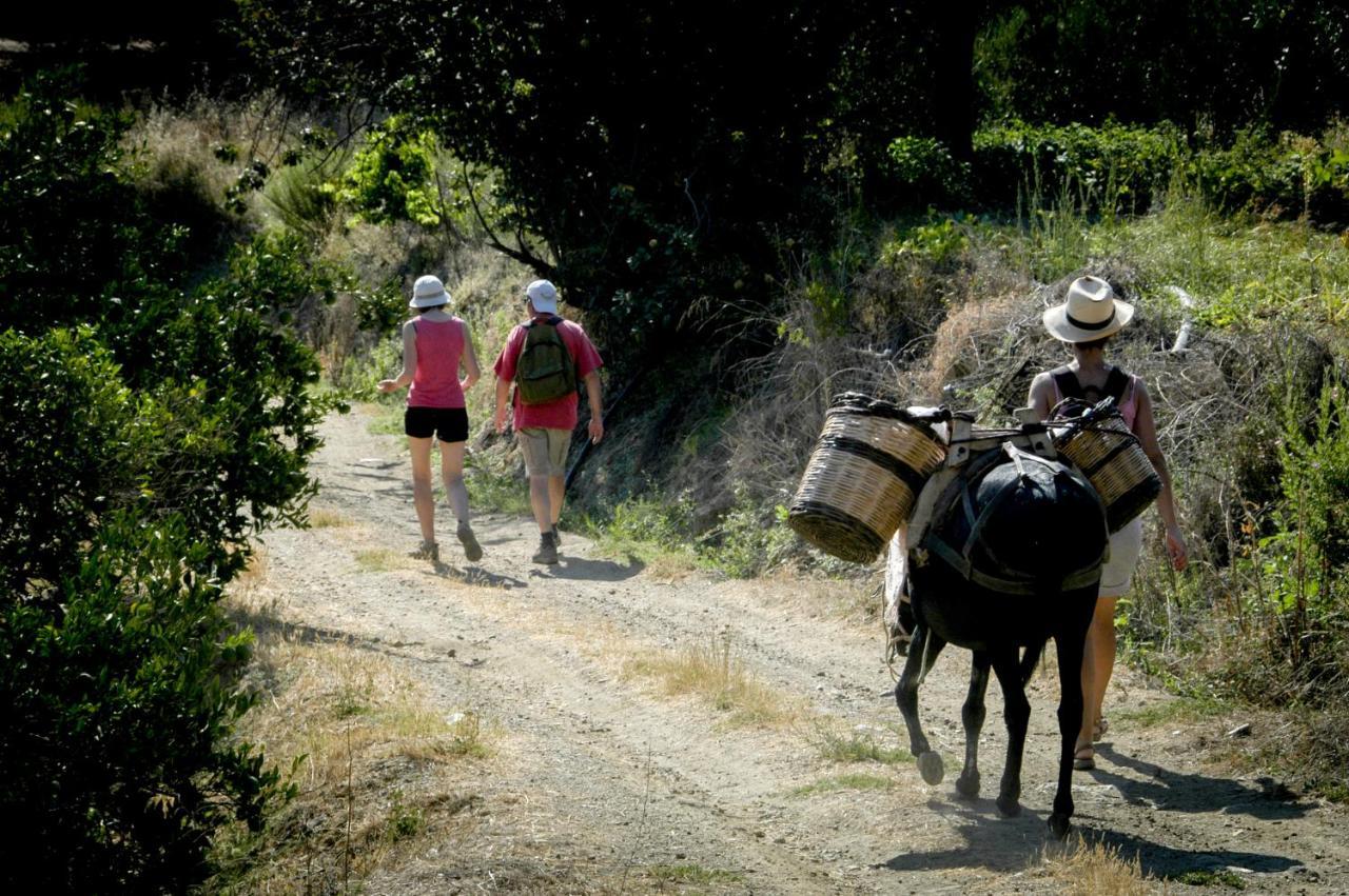 Enagron Ecotourism Village Axós Extérieur photo